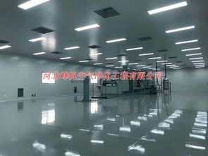 承接河北無(wú)菌凈化工程施工 保定制藥廠凈化廠房裝修